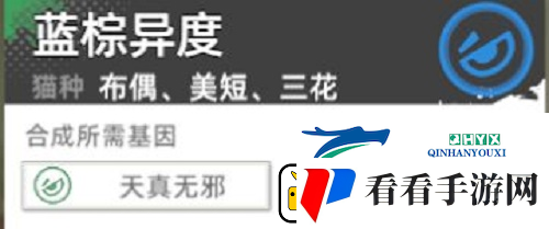 猫之城主题猫怎么获得