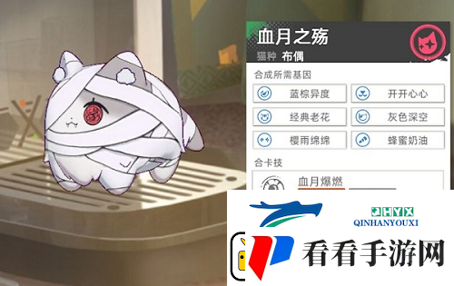 猫之城主题猫怎么获得