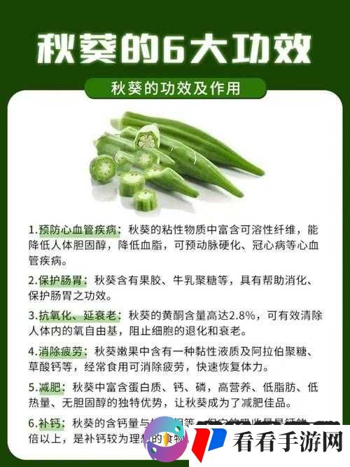 丝瓜的多种益处与绿巨人蕾丝秋葵的独特功效及其他相关介绍