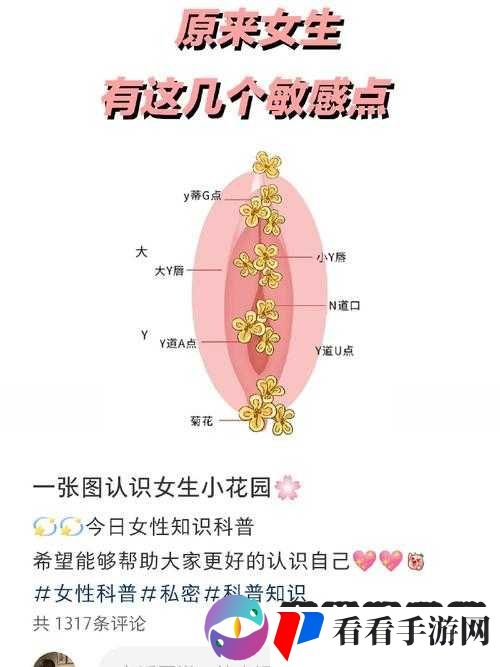 如何欺负女生的小花园和大白兔：那些不可言说的秘密