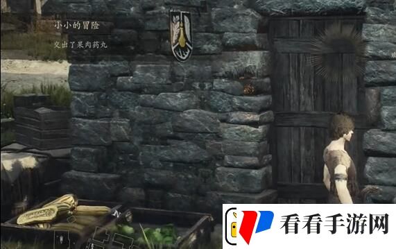 龙之信条2小小的冒险任务怎么做
