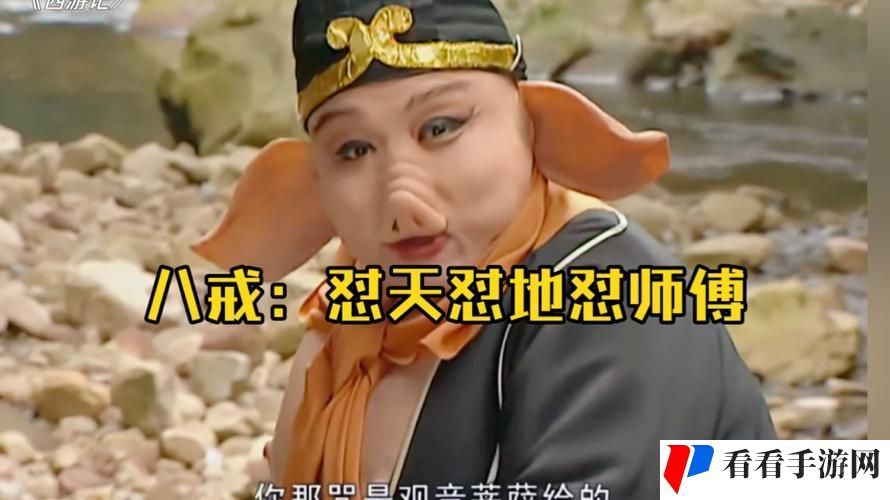 96533电视免费观看全部八戒