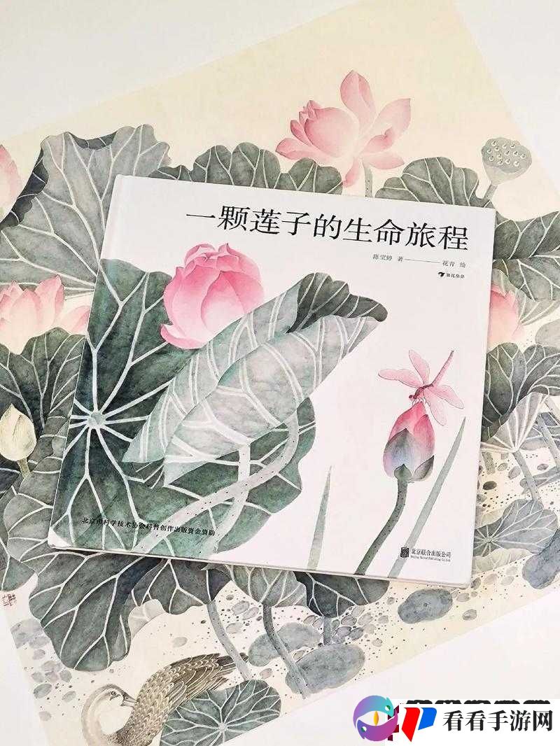 盈盈64