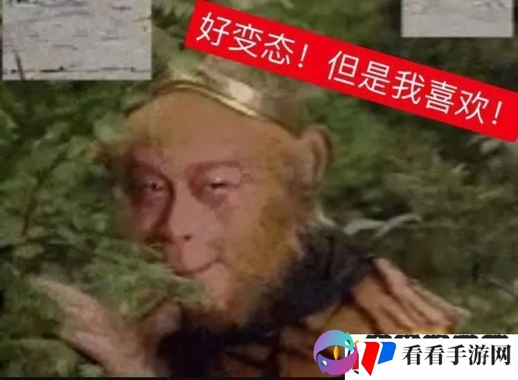 三人行辣眼睛