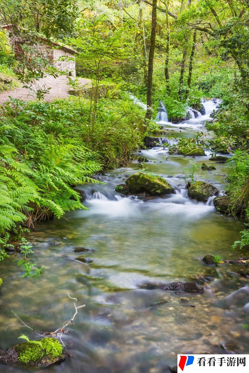 两峰夹小溪地湿又无泥