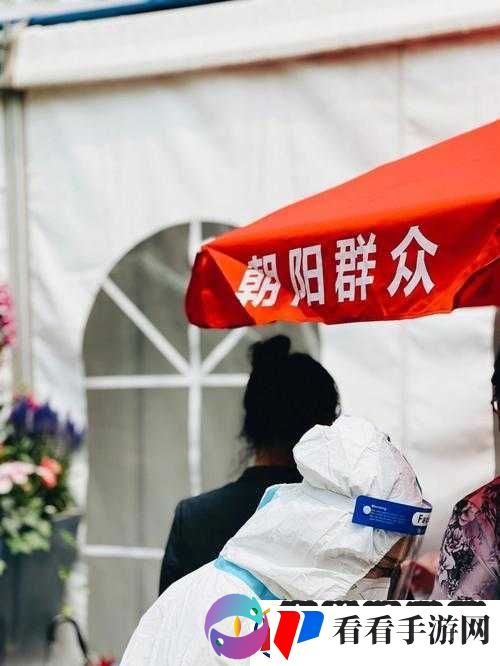 朝阳群众