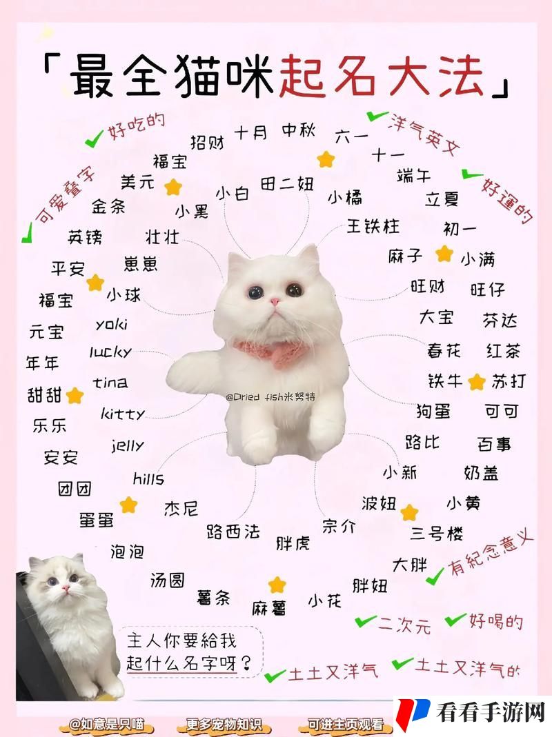 成人猫咪最地域名是什么啥