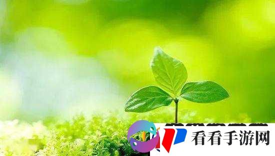 阳光下的生机