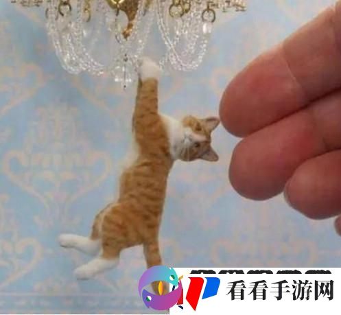 时间之神的猫210攻略路线详情