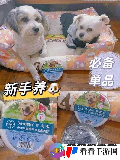 人狗胶配方大全