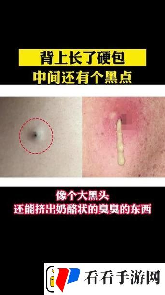 有一根又黑又硬的秘密
