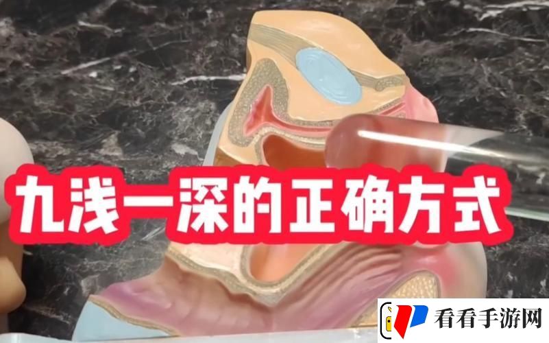 九浅一深的正确使用方法