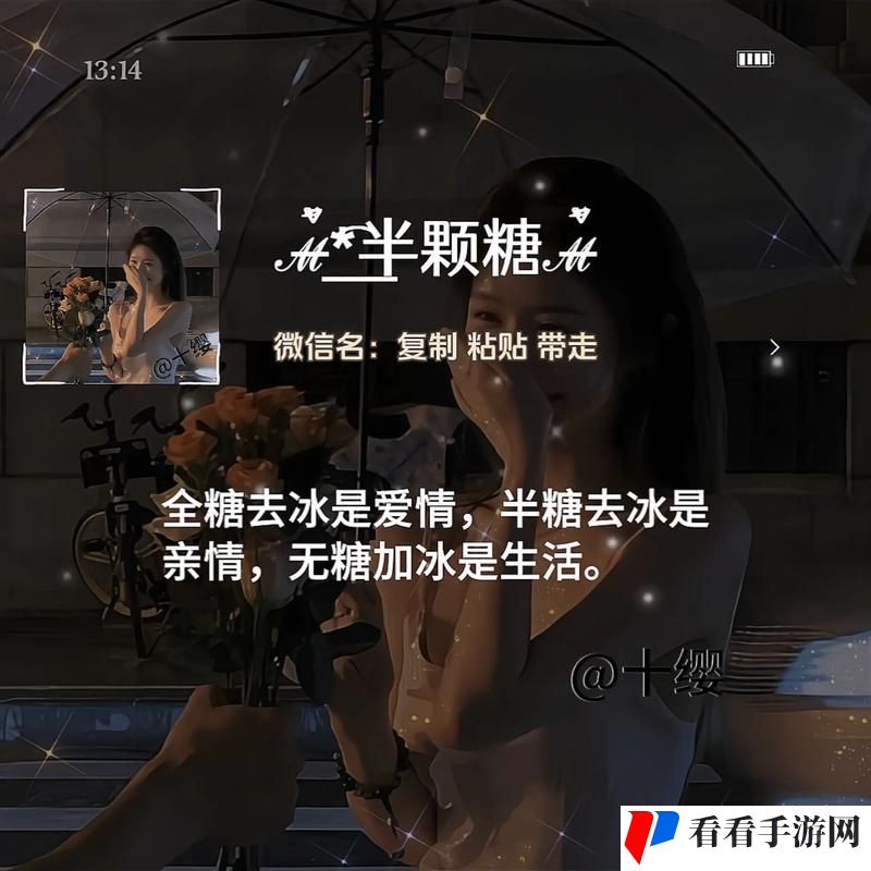 17c一起起草永久网名