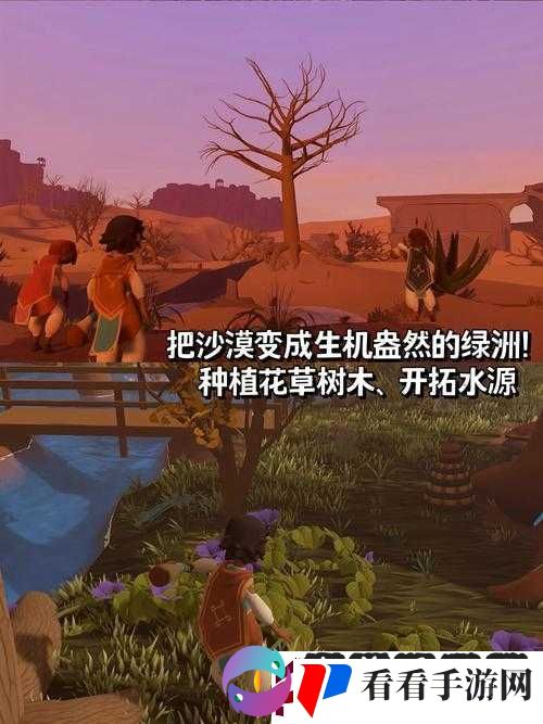 美丽的小