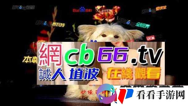 成品源码