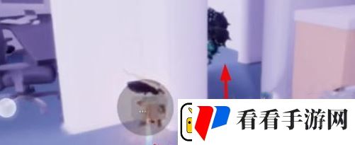 光遇猫窝地图位置介绍