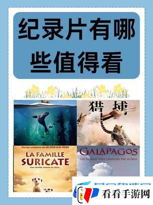 成片一卡二卡三卡观看