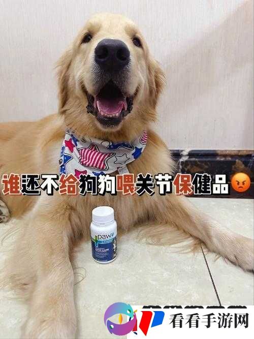 人狗胶配方大全