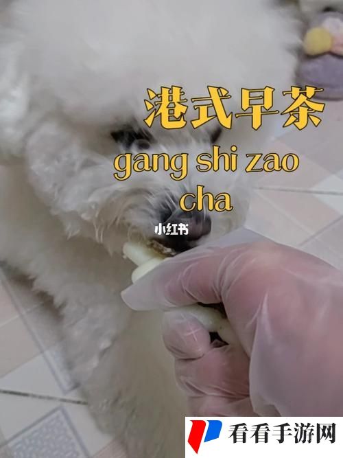 人狗胶配方大全