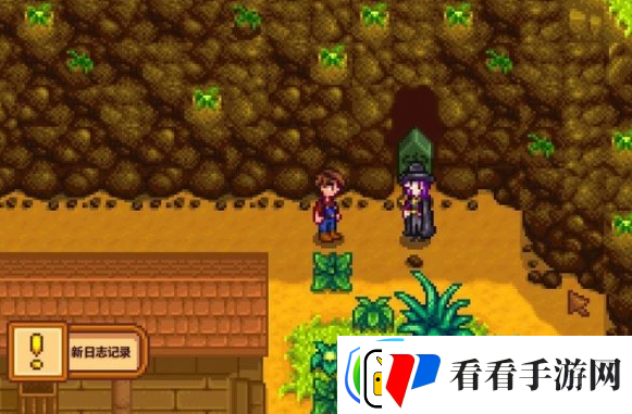 星露谷物语水道另一个洞开启攻略