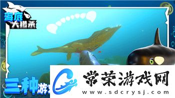 火炬之光技能栏不够用怎么办