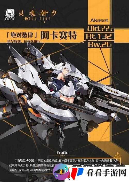 灵魂潮汐阿卡赛特技能强度解析