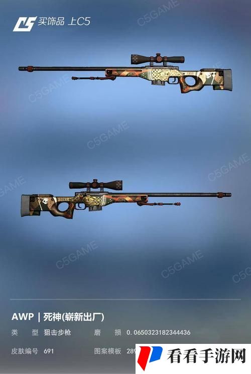 日本CSGO大姐姐AWP