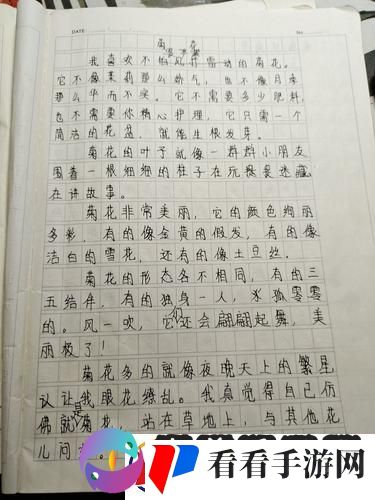 “崛起新星”辣眼作文