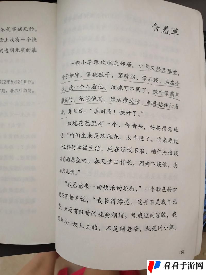 含羞草电视剧的背后故事