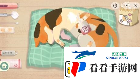 收纳物语救助喵喵怎么过