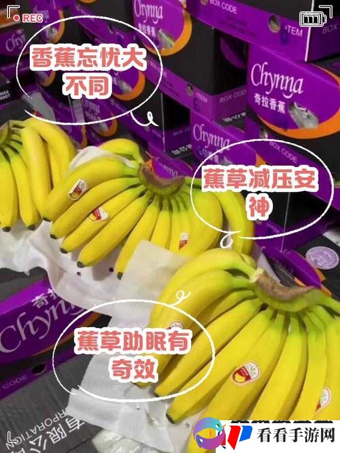 香蕉和忘忧草的区别