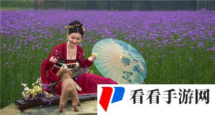 成品网站1.1.719：网站建设版本1.1.719全面解析