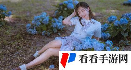 96533电视影片免费观看：享受丰富的影视内容