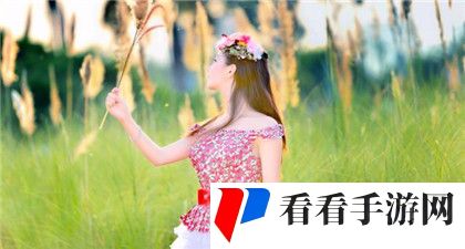 番茄影视：番茄影视的未来展望
