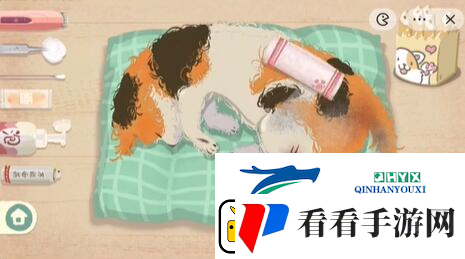 收纳物语救助喵喵怎么过