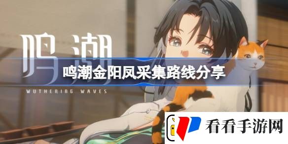 鸣潮金阳凤采集路线分享