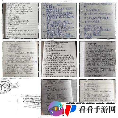 肉食教师食取报告
