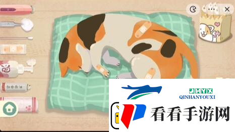 收纳物语救助喵喵怎么过