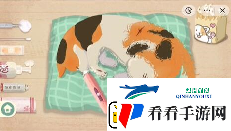 收纳物语救助喵喵怎么过