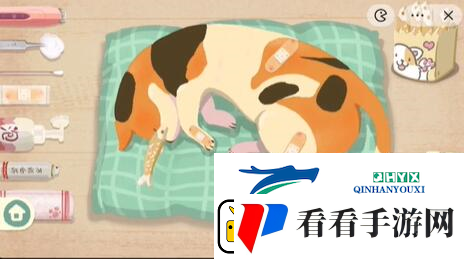 收纳物语救助喵喵怎么过