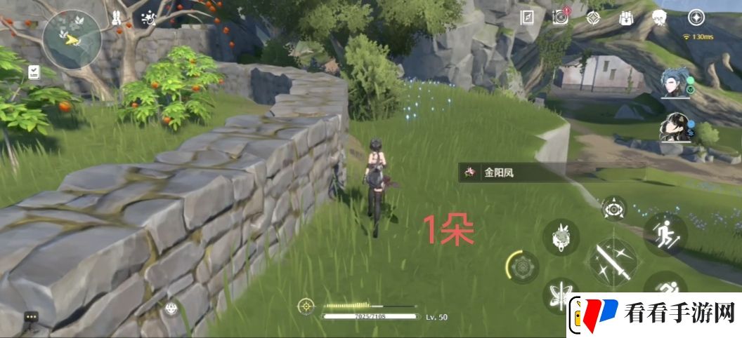 鸣潮金阳凤采集路线分享