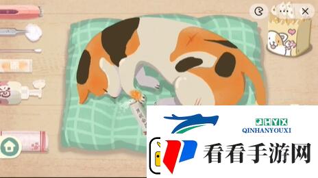 收纳物语救助喵喵怎么过