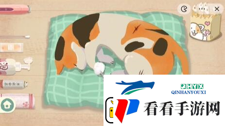 收纳物语救助喵喵怎么过