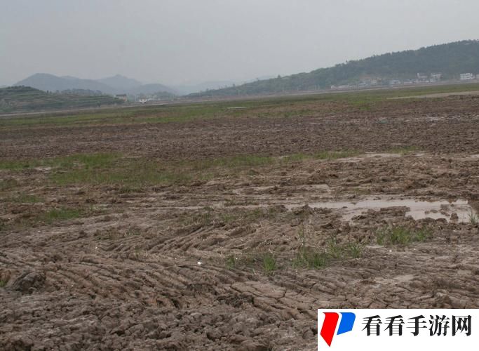 开垦老师肥沃的土地
