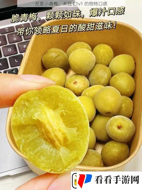 在岁月的涟漪中