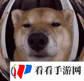 科技圈里的“家常”笑谈