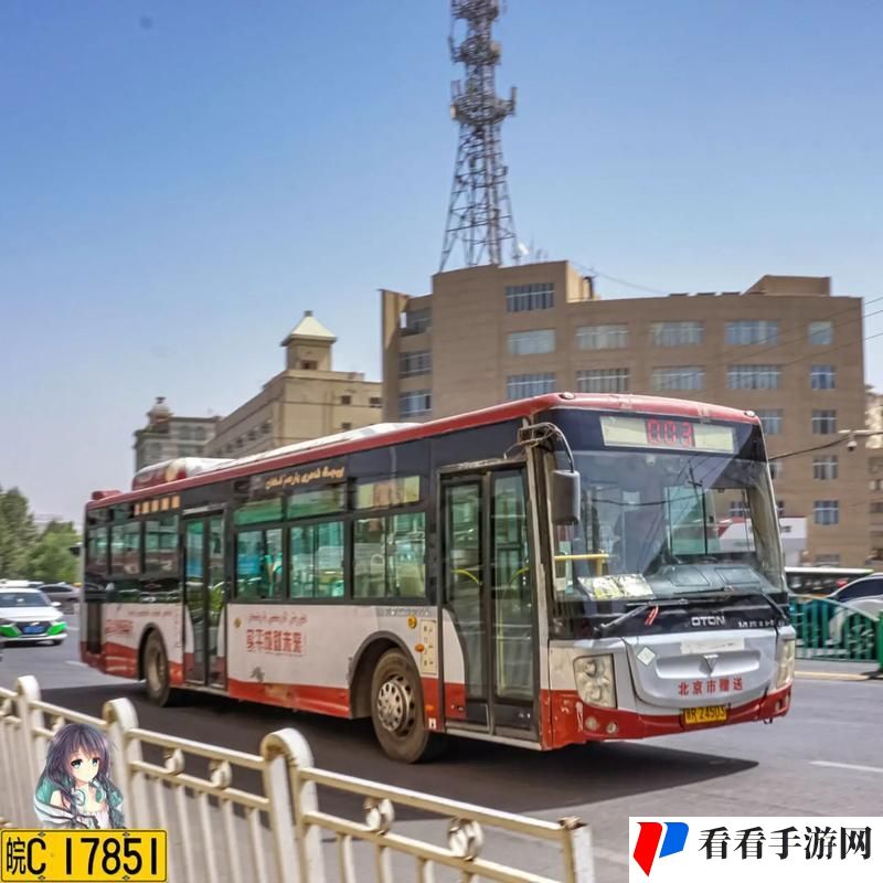 杨大壮和田桂花的公交车
