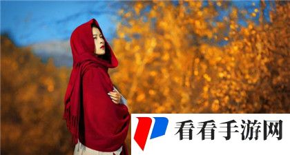 新鸳鸯在线看免费高清电视剧:轻松在线看高清电视剧