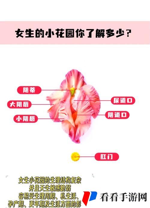 老公吃小花园的方法