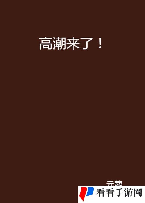 《高潮》未删减版